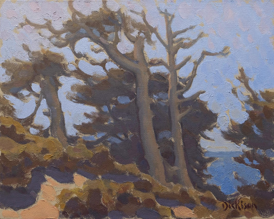 Coastal Pines Study
