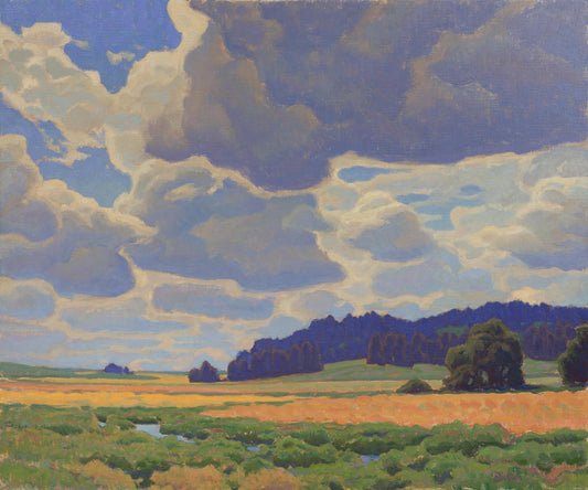 Fields of Home