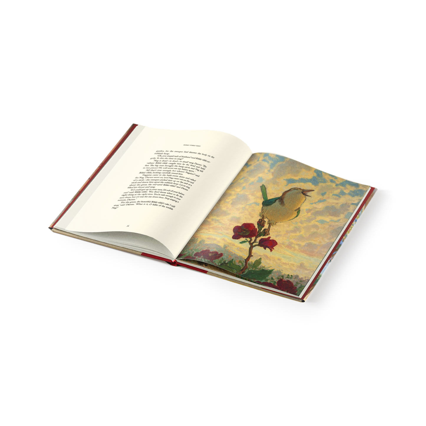 Rikki-Tikki-Tavi